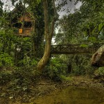 Jungle Treehouse by René Ehrhardt